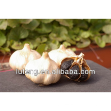 Chinese top quality Fermented Black Garlic